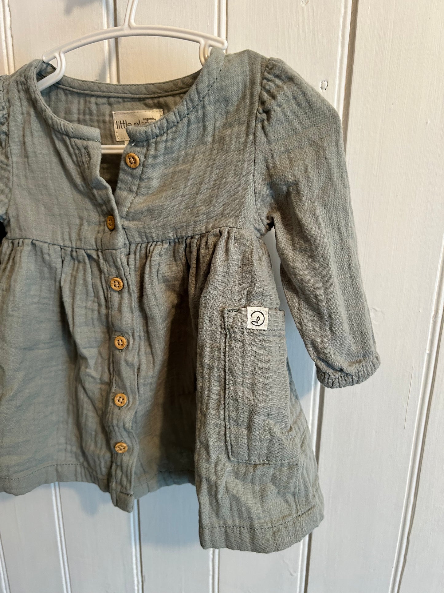 Little planet organics carters 3m sage green button up dress
