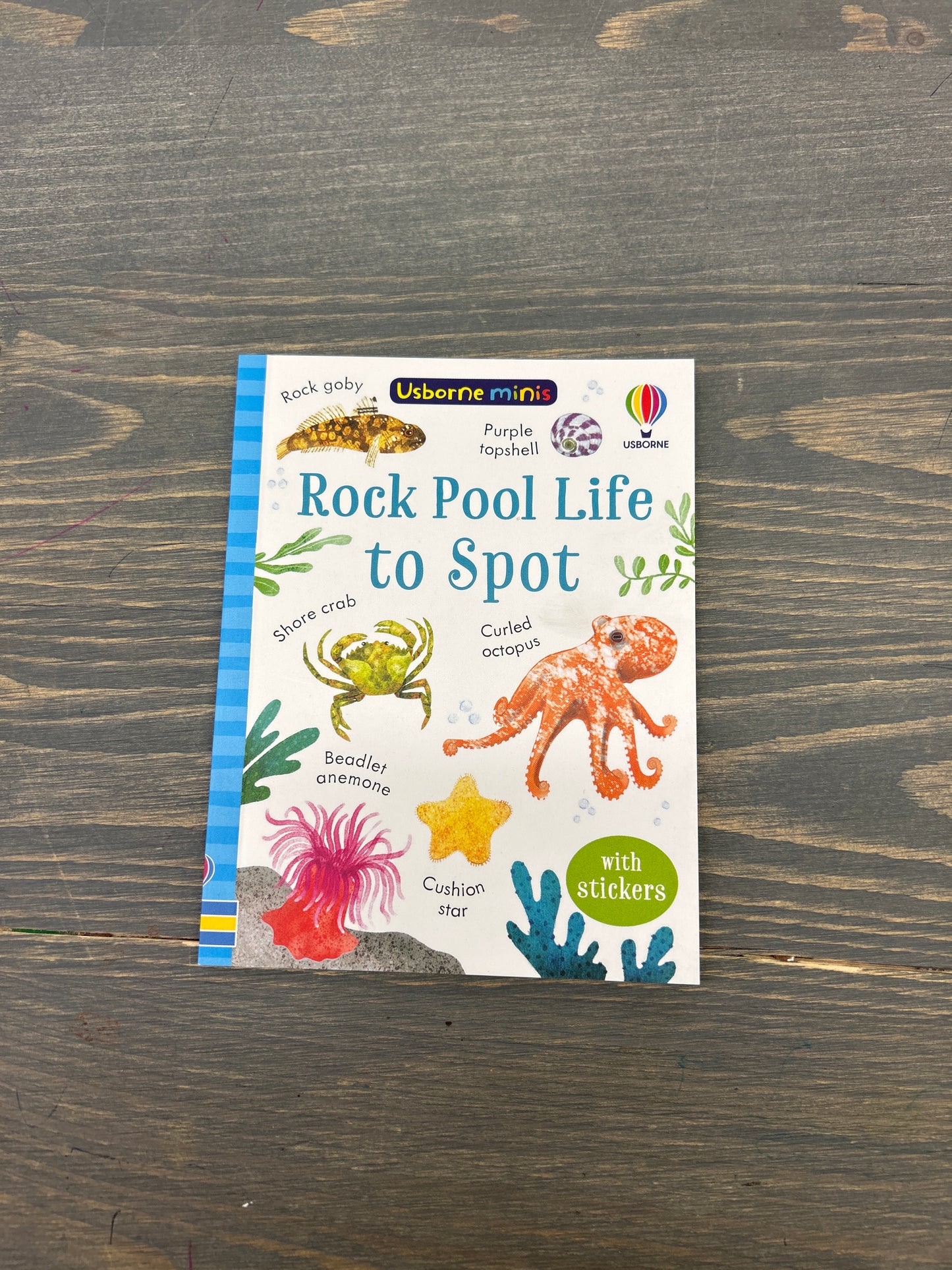 Usborne mini spot books