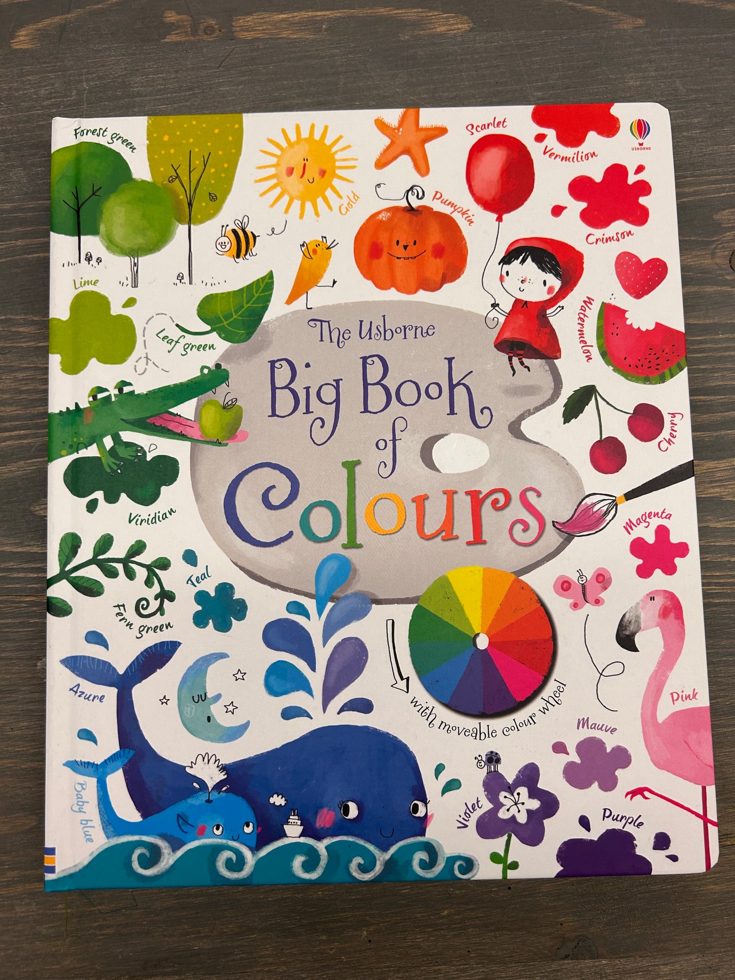 NEW usborne big book of colours