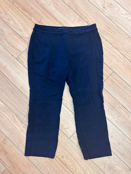 Northern reflection 10 navy blue dress pants