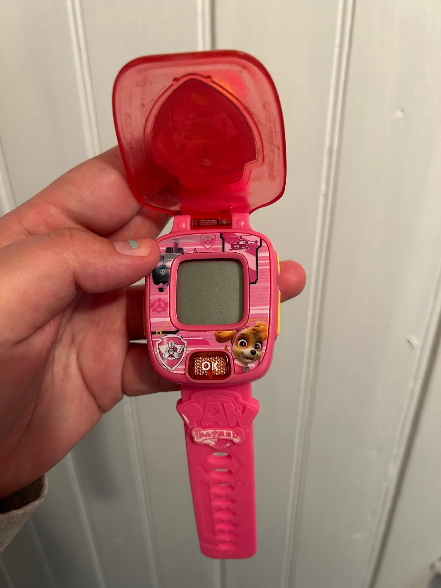 Paw patrol kids Skye watch