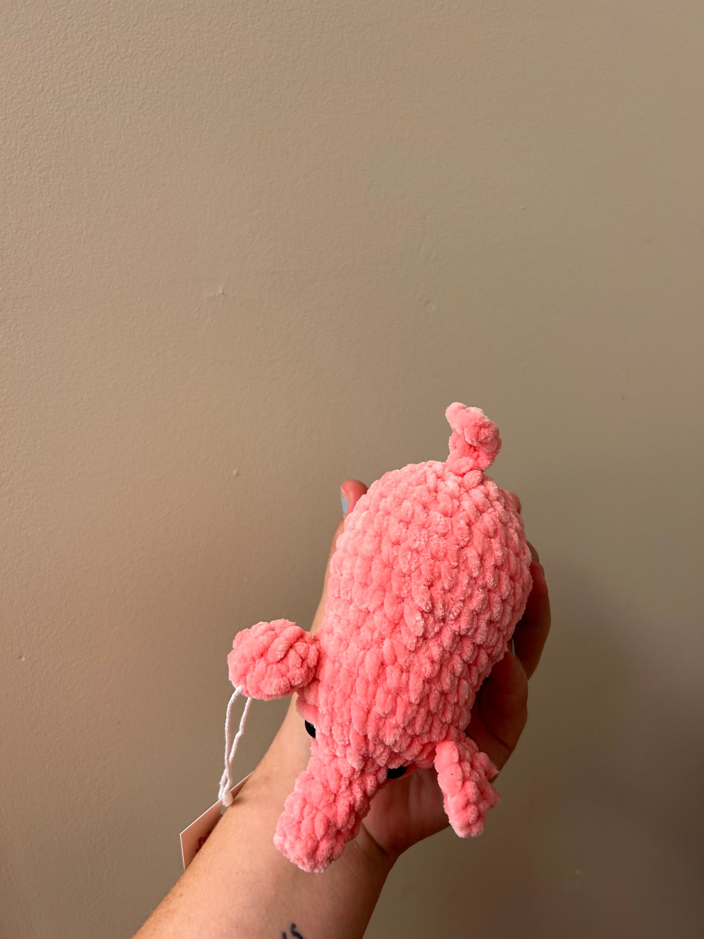 Pink pig