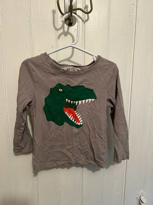 H&M 3/4t grey & green Dino long sleeve shirt
