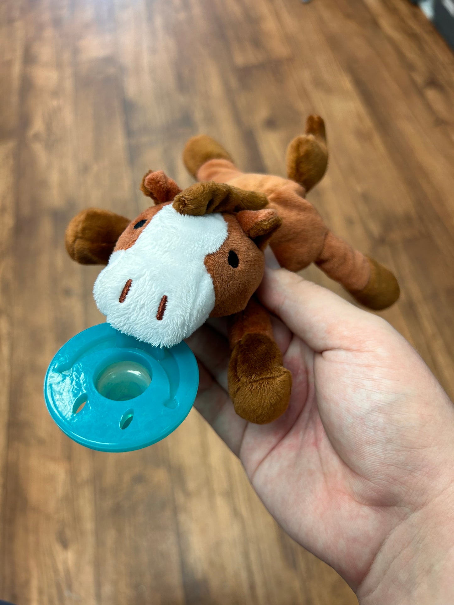 Horse Pacifier