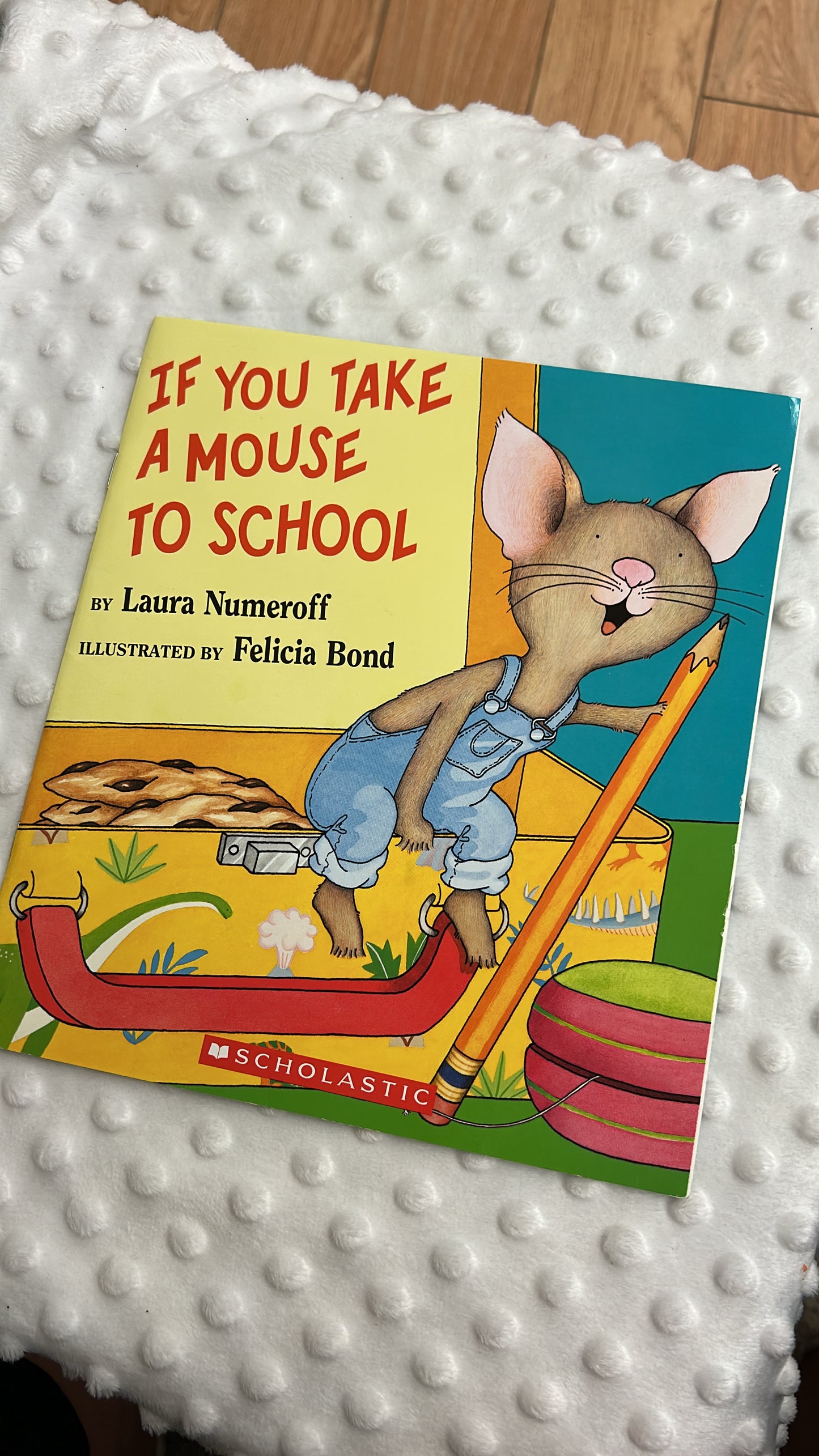 If you take a mouse to school book