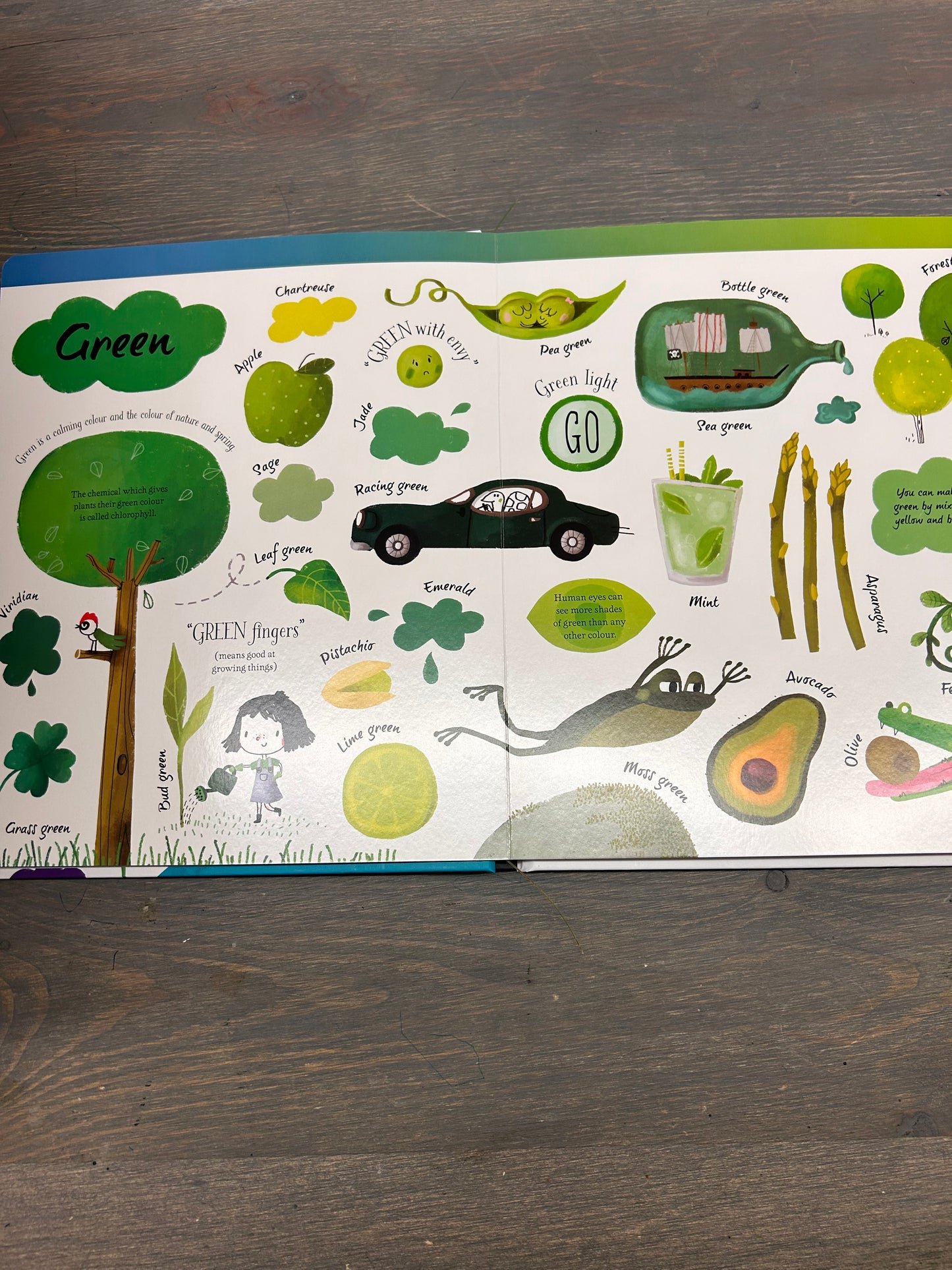 NEW usborne big book of colours