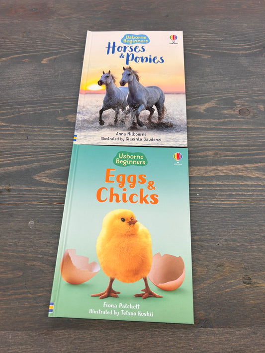 Usborne beginner books