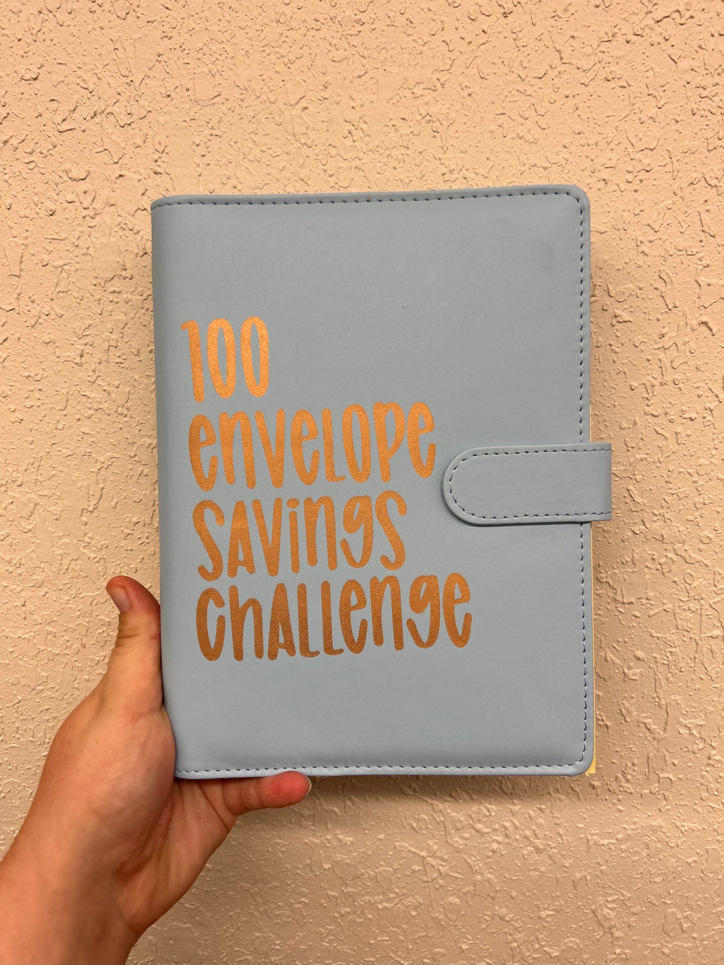 Cash savings binder