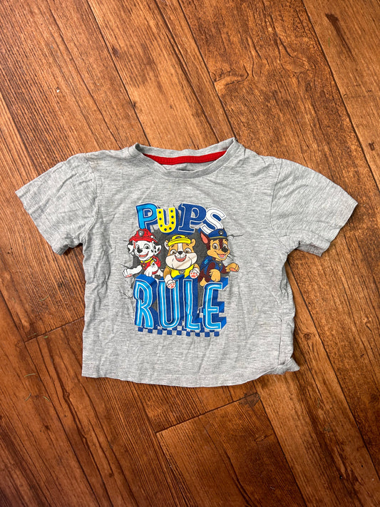 Paw patrol 4t graphic T-shirt