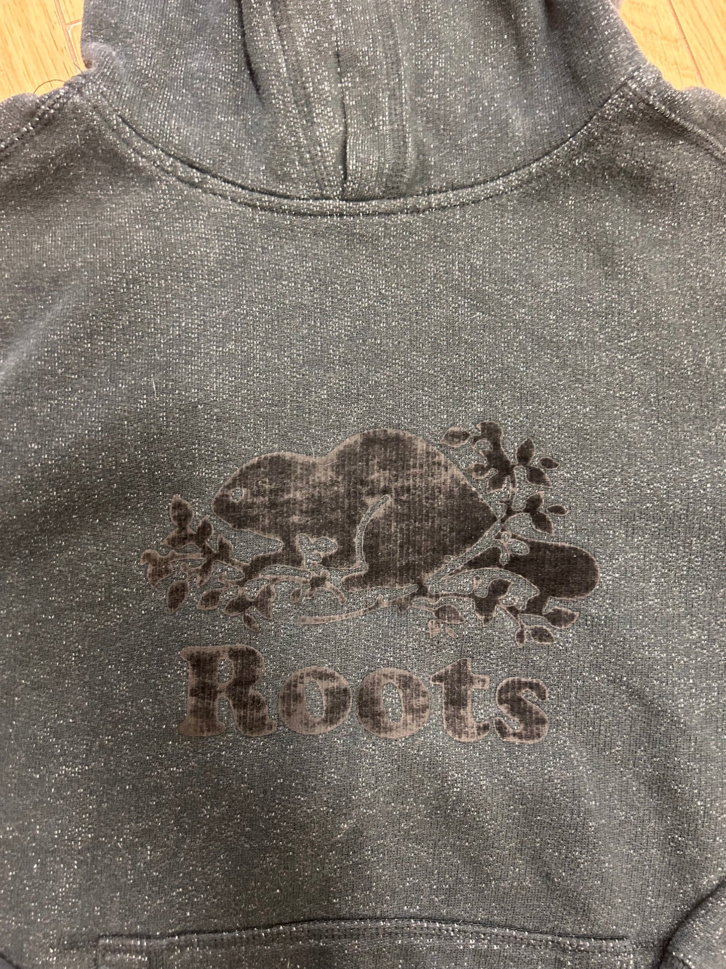 Roots 11/12 grey hoodie