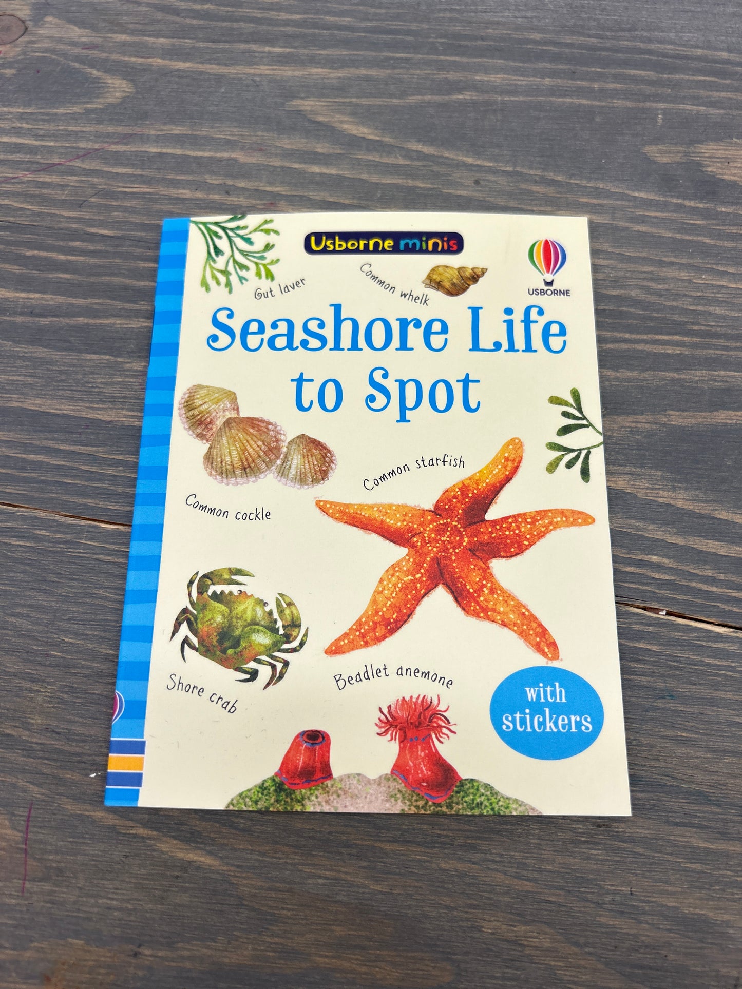 Usborne mini spot books