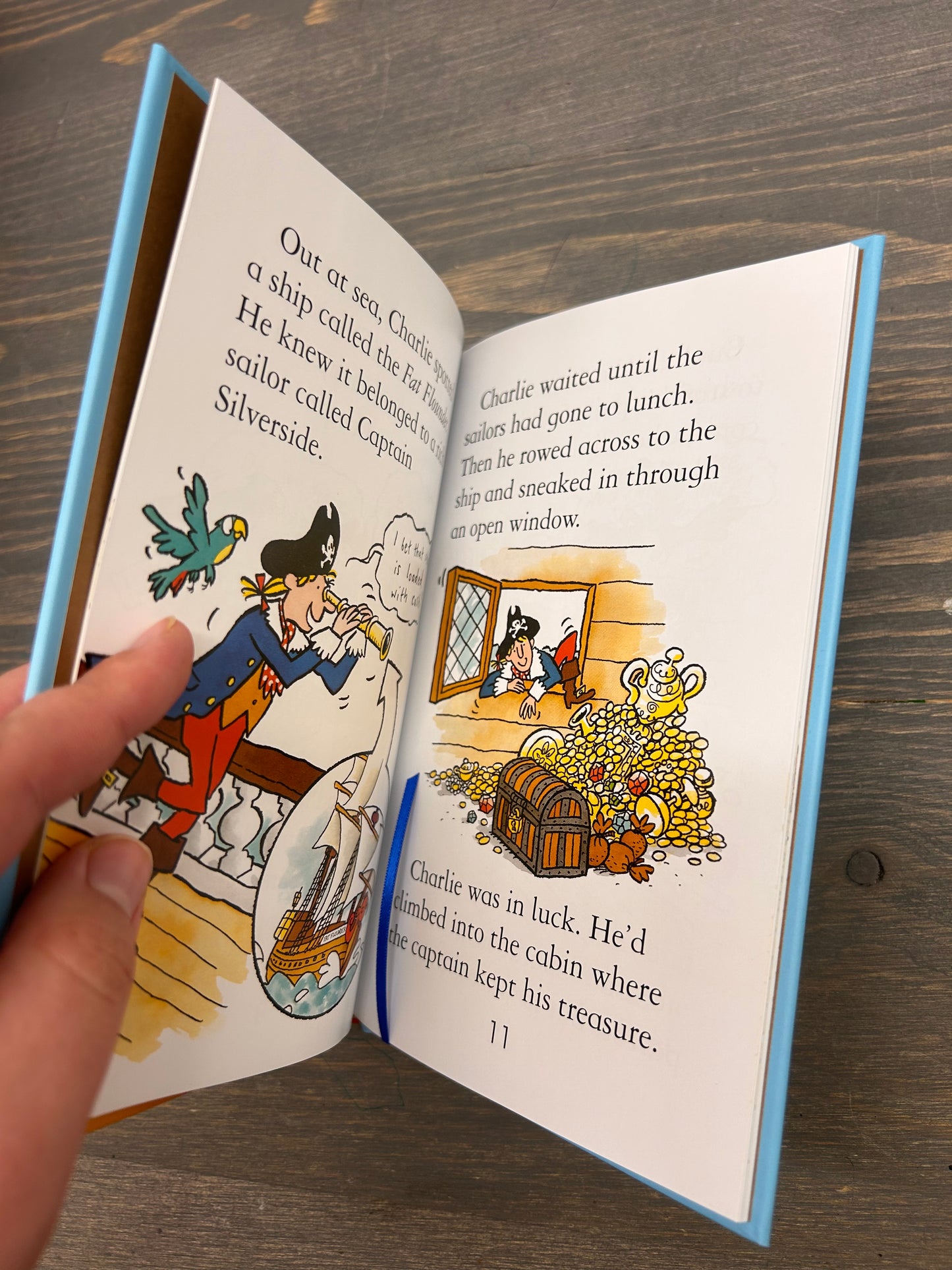 Usborne pirate chapter book