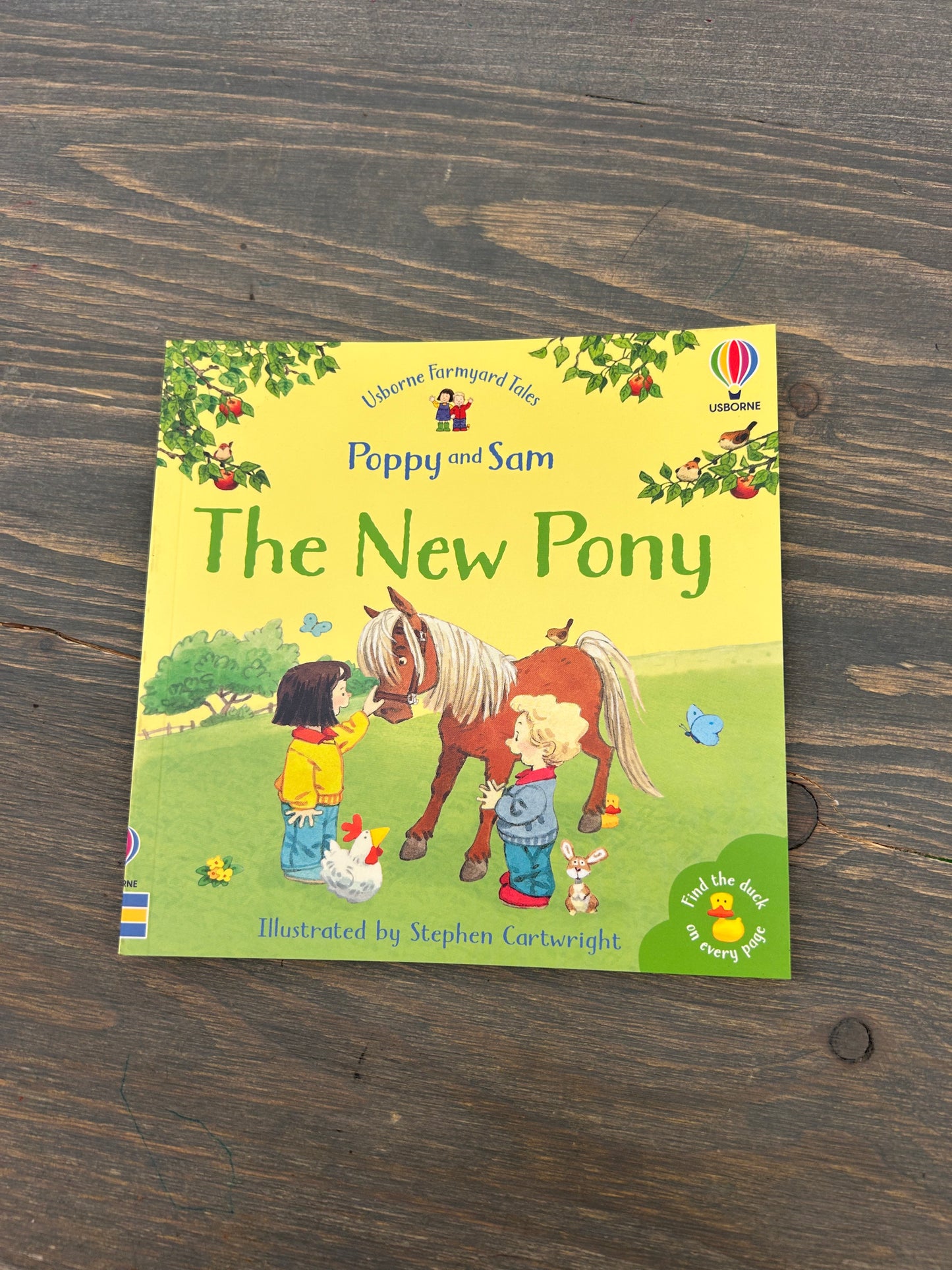 Poppy & Sam the new pony book