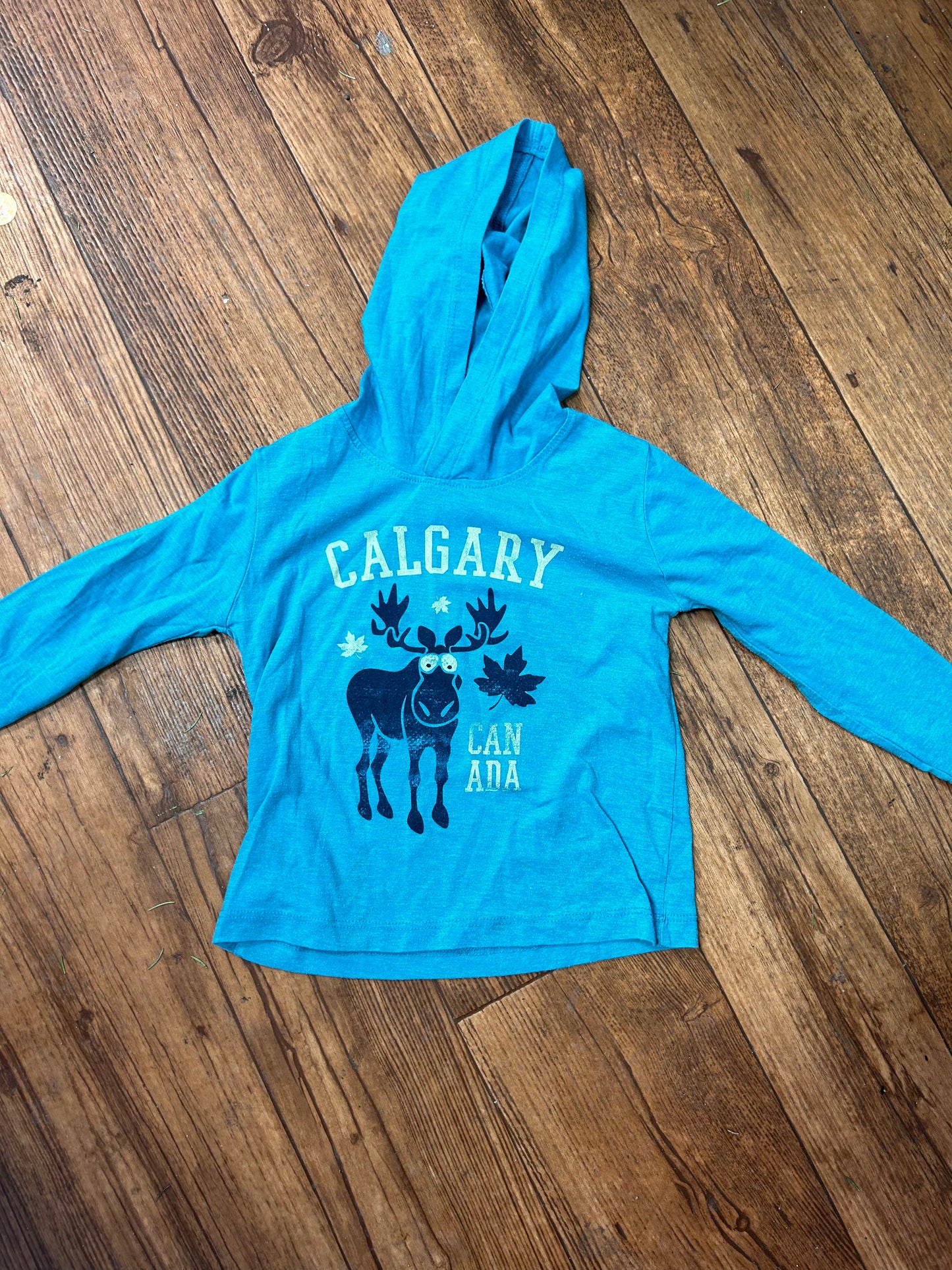 Calgary 2t blue Long sleeve hooded shirt